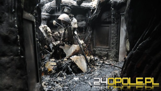 Co po spalonym pawilonie w opolskim ZOO?