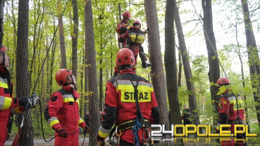 Strażacy, wojsko i policja ćwiczą w Polskiej Nowej Wsi