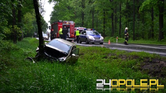 Opel uderzył w drzewo, kierowca wyszedł z tego cało