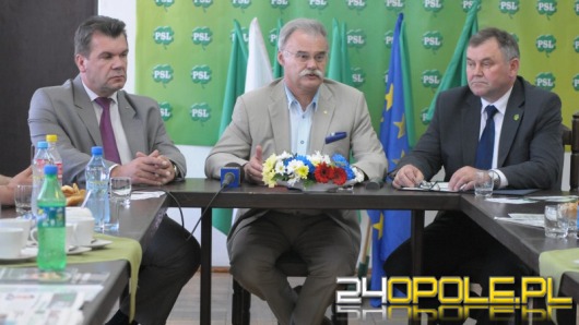 PSL kończy eurokampanię: Nie schodziliśmy poniżej poziomu bagna