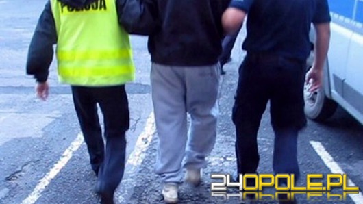 17-latek z Głubczyc odpowie za usiłowanie zabójstwa