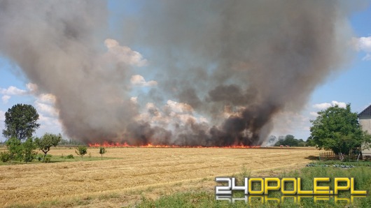 Na Opolszczyźnie płoną zboża i suche trawy