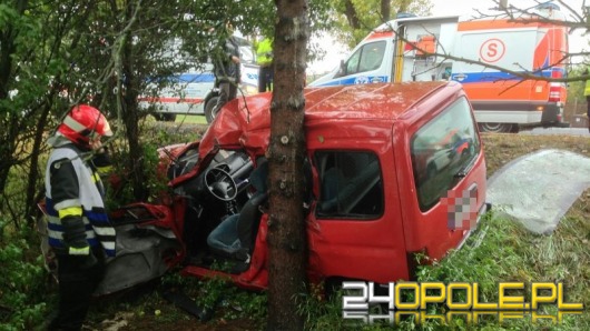 Wypadek na trasie Opole-Krapkowice, dwie osoby w szpitalu