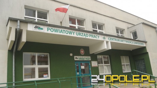 Reforma urzędów pracy nie przyniosła oczekiwanych rezultatów