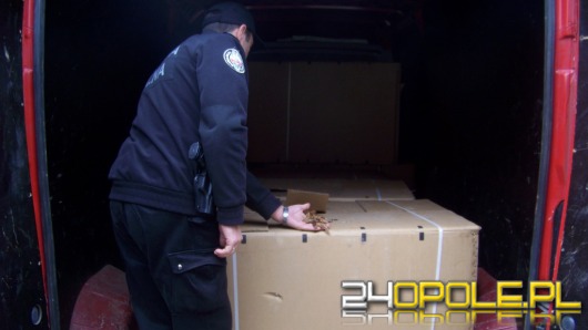 Ponad pół tony nielegalnego tytoniu podczas kontroli