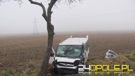 12 osób rannych po zderzeniu busa z samochodem osobowym