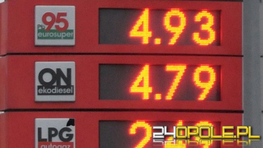 Paliwo najtańsze od 3 lat. Ceny wciąż spadają.
