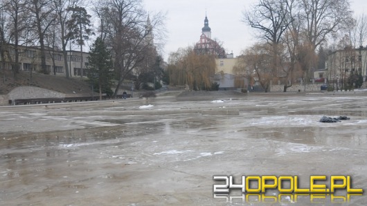 Nie będzie ślizgawki na stawku przy ul. Barlickiego