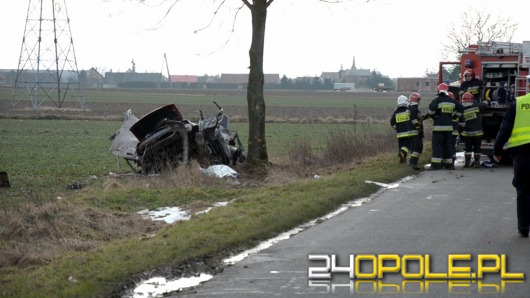 18-latek zginął w wypadku pod Otmuchowem