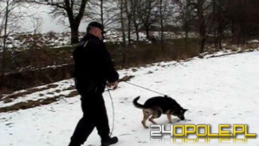 Policyjny pies przez 8 kilometrów tropił złodzieja
