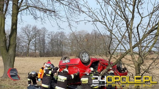 Dachowanie i zderzenie z drzewem. 18-latka zginęła na miejscu.