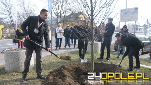 W Opolu zasadzono Drzewo Pamięci Żołnierzy Wyklętych