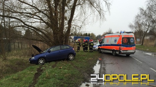 19-latek rozbił seata na drzewie próbując uniknąć zderzenia