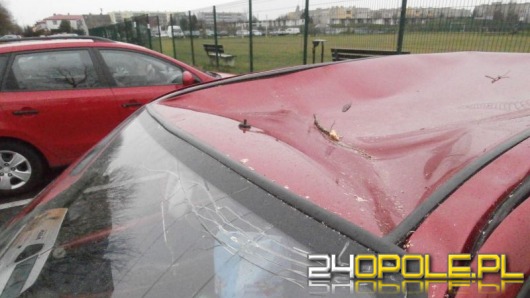 Drzewo przygniotło samochód. Nie ma komu wypłacić odszkodowania.