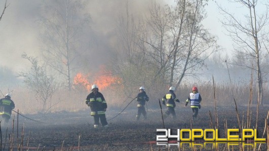 Ogromny pożar traw w Niemodlinie. W akcji samolot i helikopter.
