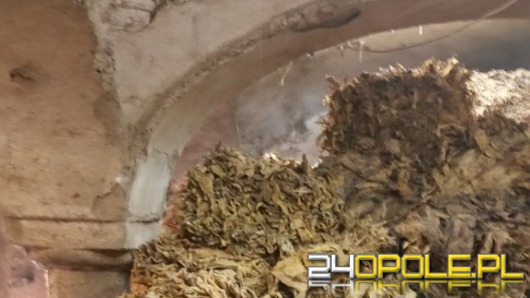 Wpadli na produkcji tytoniu wartego blisko 2 mln zł