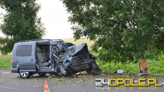 55-letni kierowca volkswagena zginął po zderzeniu z drzewem