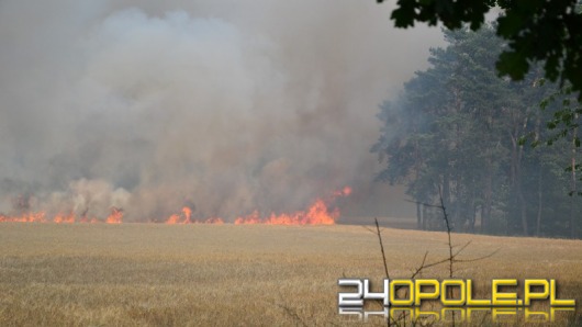 Płoną zboża i lasy na Opolszczyźnie