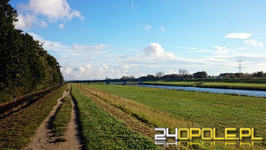 Ratusz rezygnuje z kładki pieszo-rowerowej na Odrze