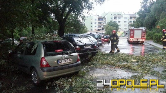  Burze nad Opolszczyzną. Ponad 100 interwencji strażaków!