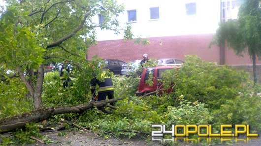 Drzewo spadło na zaparkowane samochody