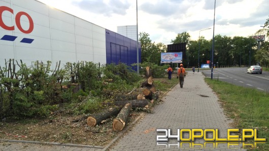 24 drzewa wycięto przy ul. Sandomierskiej