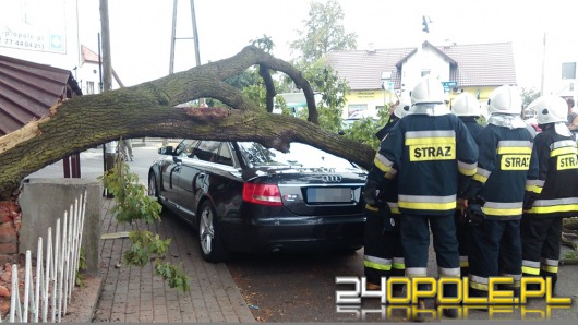 Konar drzewa spadł na zaparkowany samochód