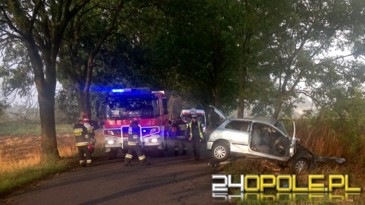 Fiat uderzył w drzewo. Kierowca zginął na miejscu.
