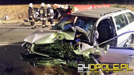 Kierowca audi zginął w wypadku pod Strzelcami Opolskimi