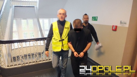 Dwaj Opolanie uprawiali konopie na łące