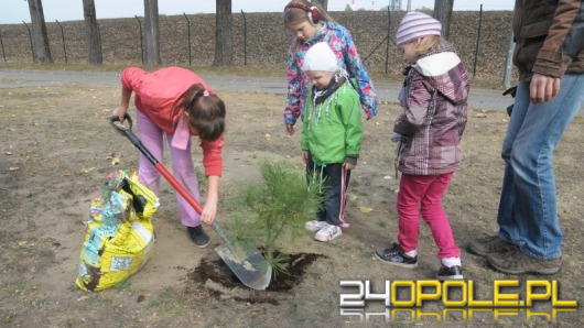 Przedszkolaki i uczniowie sadzili drzewa w siedzibie WiK