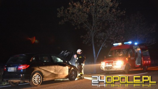 Mercedes uderzył w jelenia, przebiegającego przez drogę