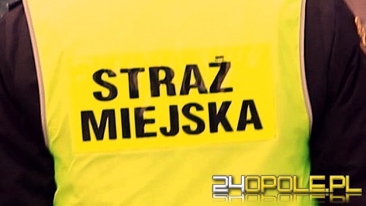 Były komendant straży miejskiej z Krapkowic z zarzutami