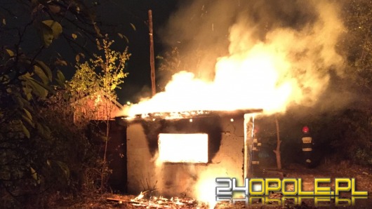 Spłonęła altanka na działkach przy ul. Łokietka