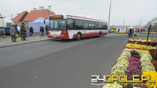Jak we Wszystkich Świętych będą jeździły autobusy w Opolu?