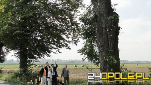 Chrząszcz zmusił drogowców do budowy nowej drogi