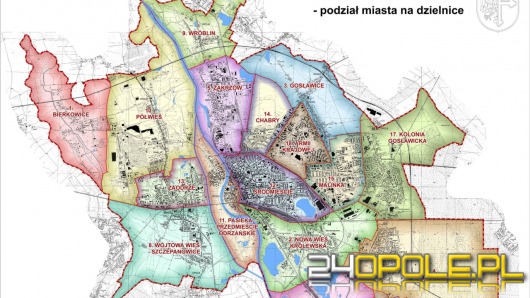 Całe Opole będzie miało Rady Dzielnic?