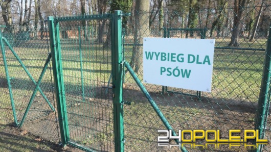 Wybieg dla psów przy ul. Wrocławskiej już otwarty