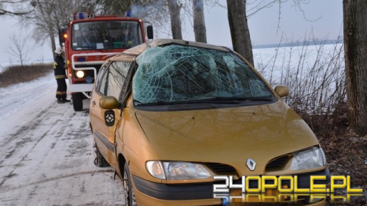 Samochód wypadł z drogi i uderzył w drzewo