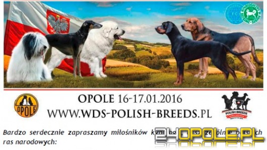 W weekend wielkie święto hodowców psów ras polskich w CWK