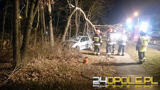 Pijany kierowca wjechał w drzewo. Pasażer trafił do szpitala.