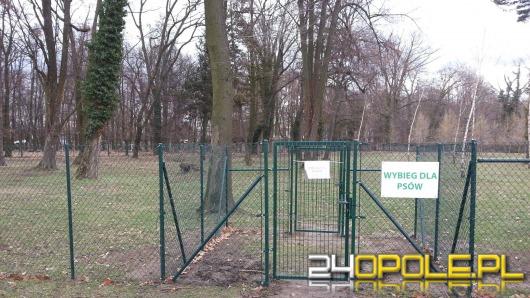 Psi park w Opolu będzie ponownie otwarty dopiero wiosną