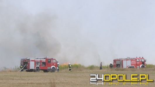 Strażacy apelują: Nie wypalajmy suchych traw