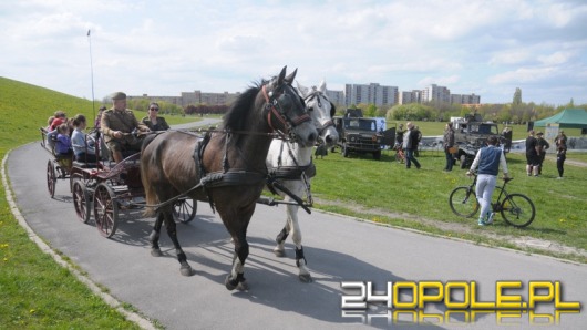 Na osiedlu Armii Krajowej trwa piknik kawaleryjski