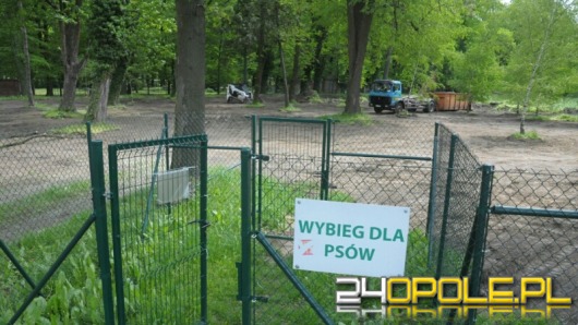 Miał być wybieg dla psów - jest poniemiecki cmentarz?