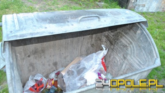 67-latek zabił 5 szczeniąt i wyrzucił je do śmietnika
