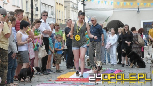 Parada Psów Rasy Mieszanej przeszła pod opolskim ratuszem