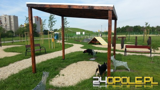 Park dla psów na osiedlu Armii Krajowej otwarty