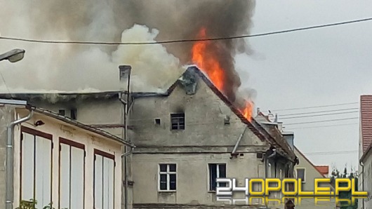 Pożar opuszczonego budynku w Lewinie Brzeskim