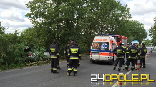 Zasłabł za kierownicą i wjechał w drzewo